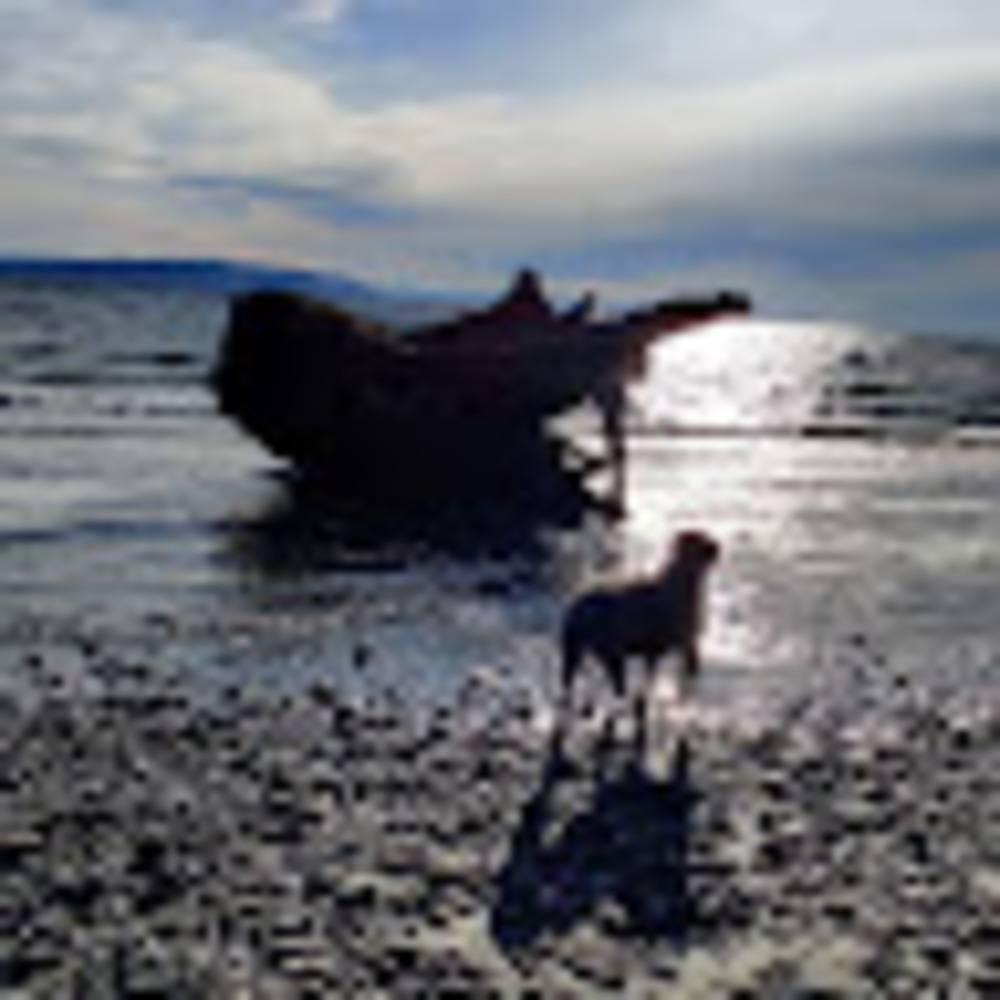 Meet your Posher, Luke